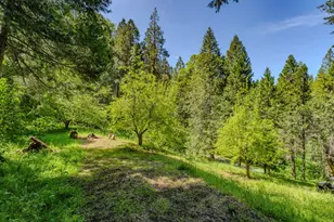4040 Cedar Creek Rd, Mount Aukum, CA 95629 - Photo 61