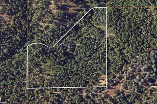 4040 Cedar Creek Rd, Mount Aukum, CA 95629 - Photo 67