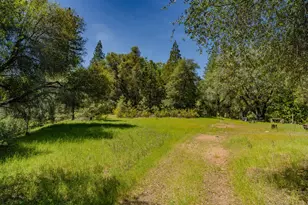 4040 Cedar Creek Rd, Mount Aukum, CA 95629 - Photo 41