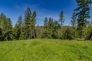 4040 Cedar Creek Rd, Mount Aukum, CA 95629 - Photo 35