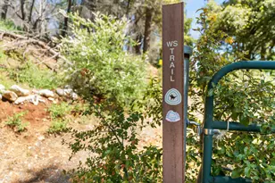 30155 Turkey Hill Rd, Foresthill, CA 95631 - Photo 43