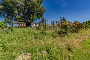 17800 Red Mule Rd, Fiddletown, CA 95629 - Photo 67