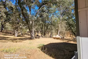 12372 Wanderer Rd, Auburn, CA 95602 - Photo 13