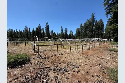 30082 Buckthorn Lane, Nevada City, CA 95959 - Photo 21