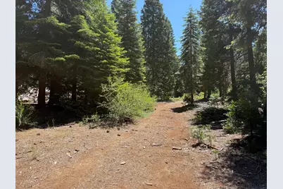30082 Buckthorn Lane, Nevada City, CA 95959 - Photo 19