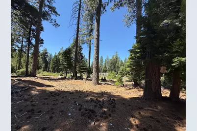 30082 Buckthorn Lane, Nevada City, CA 95959 - Photo 29