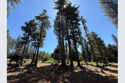 30082 Buckthorn Lane, Nevada City, CA 95959 - Photo 5