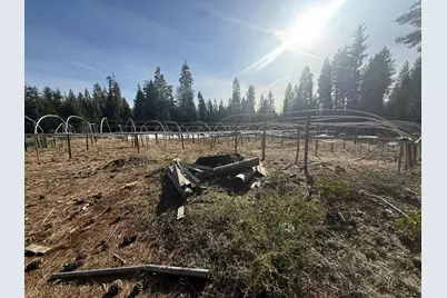 30082 Buckthorn Lane, Nevada City, CA 95959 - Photo 3