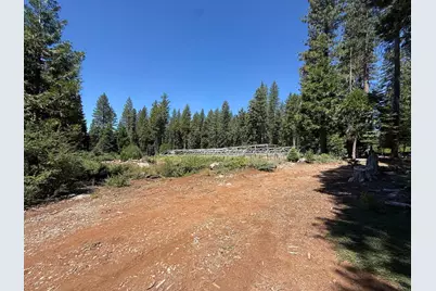 30082 Buckthorn Lane, Nevada City, CA 95959 - Photo 15