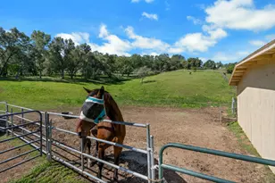 3350 Rattlesnake Rd, Newcastle, CA 95658 - Photo 7