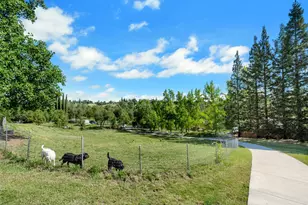 3350 Rattlesnake Rd, Newcastle, CA 95658 - Photo 11