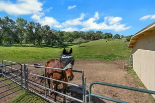 3350 Rattlesnake Rd, Newcastle, CA 95658 - Photo 81