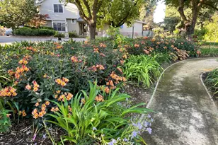 38201 Russell Blvd, Davis, CA 95616 - Photo 9