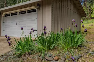 16425 Carolyn Way, Pioneer, CA 95666 - Photo 3