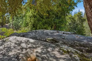16276 Indian Flat Rd, Nevada City, CA 95959 - Photo 65