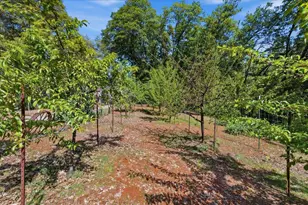 16276 Indian Flat Rd, Nevada City, CA 95959 - Photo 55