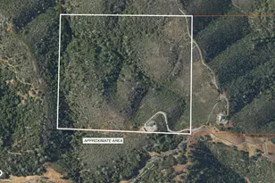3155 Hawver Rd, San Andreas, CA 95249 - Photo 63
