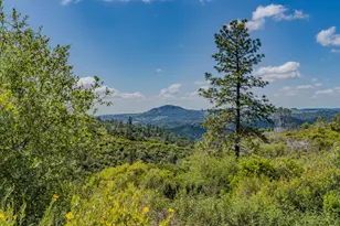 3155 Hawver Rd, San Andreas, CA 95249 - Photo 1
