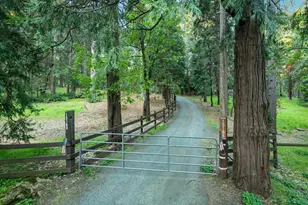 15188 N Bloomfield Rd, Nevada City, CA 95959 - Photo 61