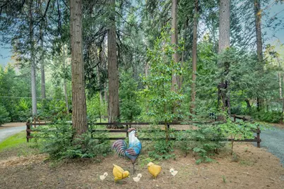 15188 N Bloomfield Road, Nevada City, CA 95959 - Photo 63