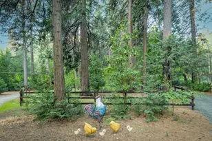 15188 N Bloomfield Rd, Nevada City, CA 95959 - Photo 63