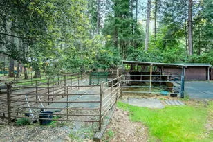 15188 N Bloomfield Rd, Nevada City, CA 95959 - Photo 63