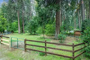 15188 N Bloomfield Rd, Nevada City, CA 95959 - Photo 61