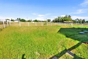 8205 Madrone St, Elverta, CA 95626 - Photo 29