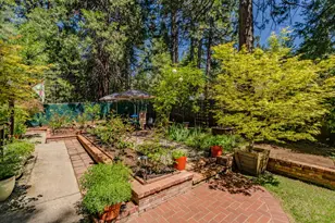 26725 Sugar Pine Dr, Pioneer, CA 95666 - Photo 61