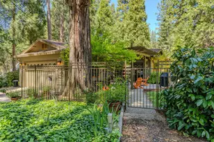 26725 Sugar Pine Dr, Pioneer, CA 95666 - Photo 9