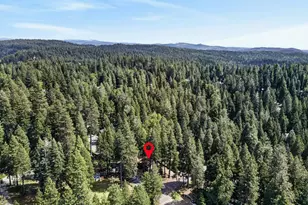 6210 Pine St, Pollock Pines, CA 95726 - Photo 61