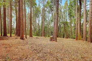 13274 Idaho Maryland Rd, Nevada City, CA 95959 - Photo 55