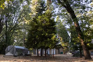 12123 Cement Hill Rd, Nevada City, CA 95959 - Photo 33