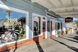 233 Broad St, Nevada City, CA 95959 - Photo 91