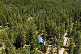 23 Wild Rose Meadow Ln, North San Juan, CA 95960 - Photo 27