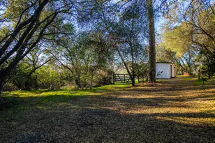 2580 Golden Fawn Trail, Shingle Springs, CA 95682 - Photo 47