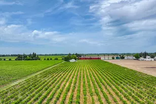8650 E Hwy 12, Lodi, CA 95240 - Photo 7