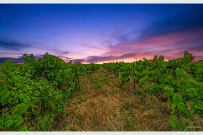 8650 E Highway 12, Lodi, CA 95240 - Photo 47