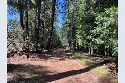 5201 Old Mine Road, Grizzly Flats, CA 95636 - Photo 19