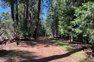 5201 Old Mine Rd, Grizzly Flats, CA 95636 - Photo 19