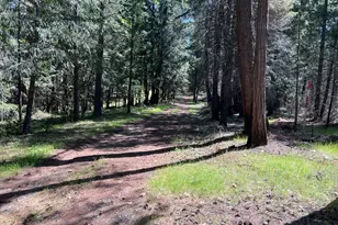 5201 Old Mine Rd, Grizzly Flats, CA 95636 - Photo 17