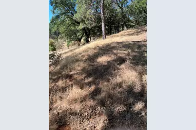 4625 W Rosarno Place, Foresthill, CA 95631 - Photo 19
