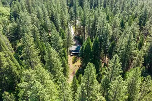 10878 Leecrest Ct, Nevada City, CA 95959 - Photo 59