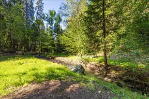 10878 Leecrest Ct, Nevada City, CA 95959 - Photo 53
