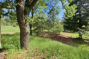 11678 Otting Ct, Grass Valley, CA 95945 - Photo 21