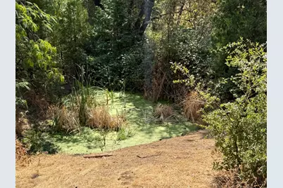 9985 Wendell Road, Mountain Ranch, CA 95246 - Photo 75