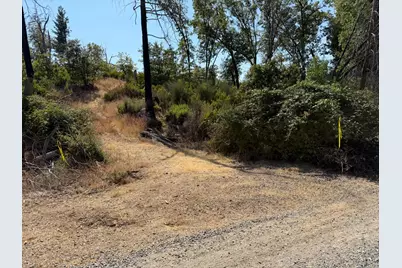 9985 Wendell Road, Mountain Ranch, CA 95246 - Photo 83