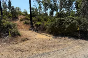 9985 Wendell Rd, Mountain Ranch, CA 95246 - Photo 83