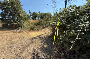 9985 Wendell Rd, Mountain Ranch, CA 95246 - Photo 77