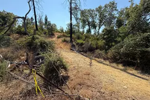 9985 Wendell Rd, Mountain Ranch, CA 95246 - Photo 79